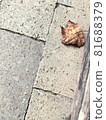 The beginning of autumn 81688379