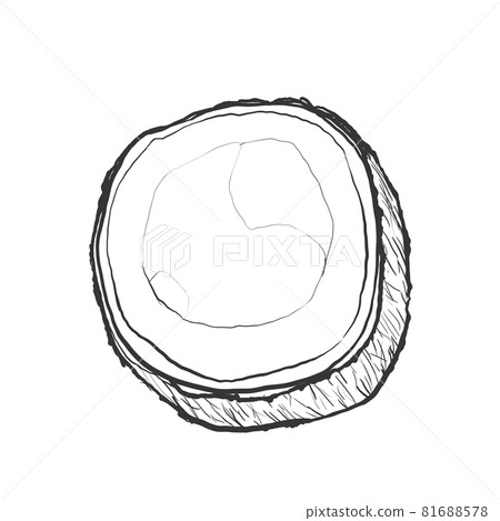 Japanese style hand-drawn line drawing illustration of coconut 81688578
