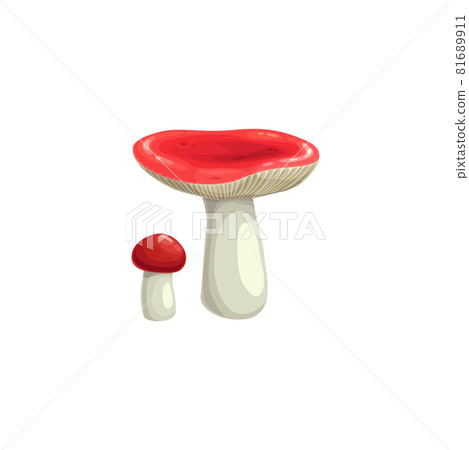 Mushroom russula vector icon. Cartoon autumn plant 81689911