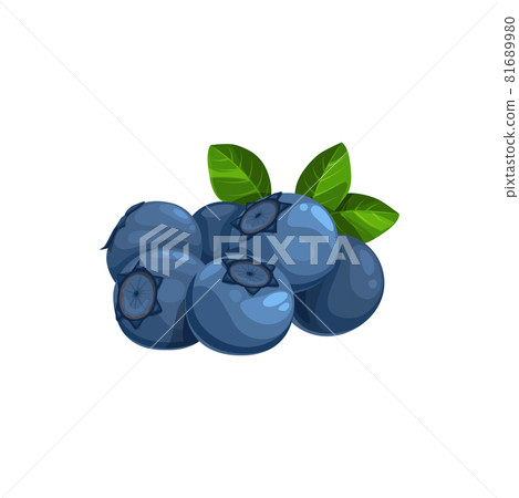Blueberry heap with green leaves, wild berries Blueberry heap with green leaves, wild berries 81689980