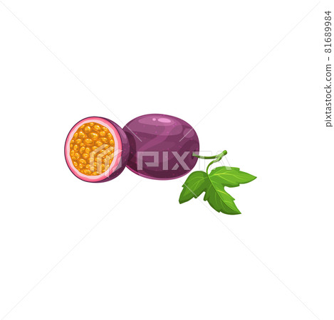 Passion fruit fresh tropical cartoon vector plant Passion fruit fresh tropical cartoon vector plant 81689984