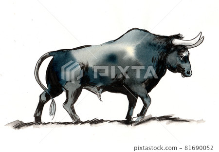Big black bull. Ink and watercolor drawing Big black bull. Ink and watercolor drawing 81690052