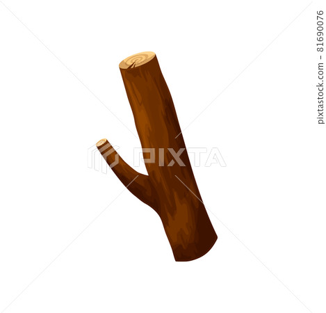 Driftwood log isolated brunch of dry bare tree Driftwood log isolated brunch of dry bare tree 81690076