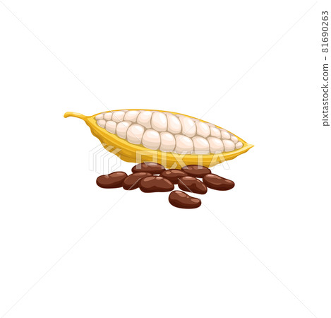 Cocoa beans in ripe pod isolated superfood product 81690263