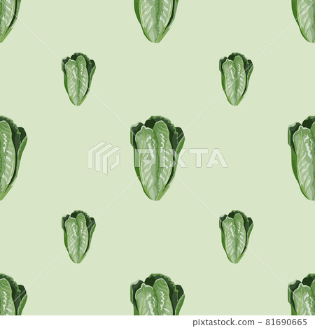 Seamless pattern salad Romano on light green background. Minimalism ornament with lettuce. Seamless pattern salad Romano on light green background. Minimalism ornament with lettuce. 81690665
