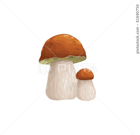 Mushroom icon, autumn and fall forest harvest food 81690750