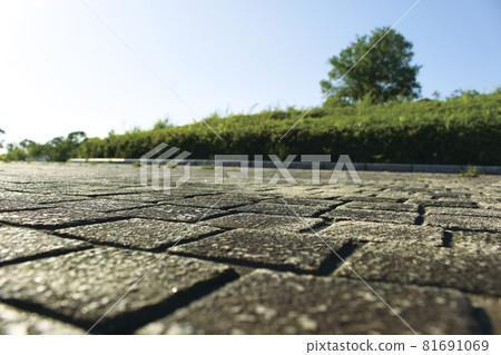 Background_back_texture_870_road surface Background_back_texture_870_road surface 81691069