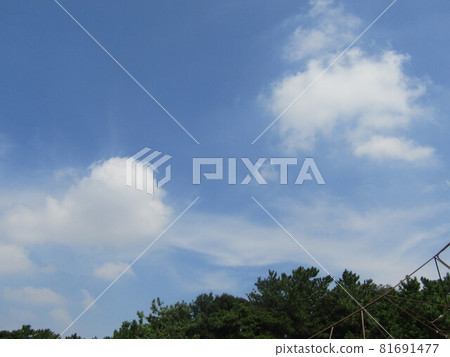 Inage Seaside Park in midsummer in August, blue sky and white clouds 81691477