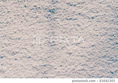 Snow and snowflakes season, texture of loose and dry snow. 81692305