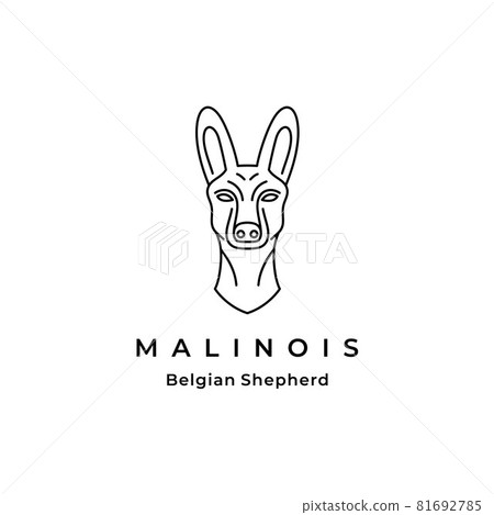 Belgian malinois dog Line art Logo Design Belgian malinois dog Line art Logo Design 81692785