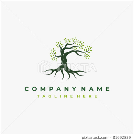 Vibrant tree logo design, tree and root vector.... - Stock Illustration ...