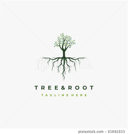 Vibrant tree logo design, tree and root vector. Tree of life logo design inspiration Vibrant tree logo design, tree and root vector. Tree of life logo design inspiration 81692833
