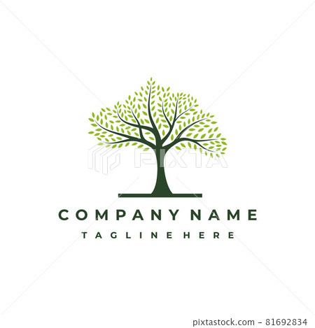 Vibrant tree logo design, tree vector illustration. Tree of life logo design inspiration 81692834