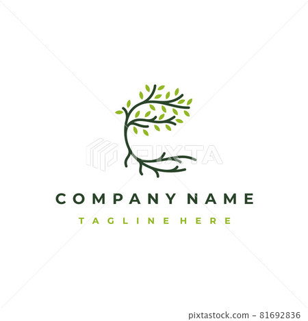Tree and roots logo design vector isolated, abstract tree logo design 81692836