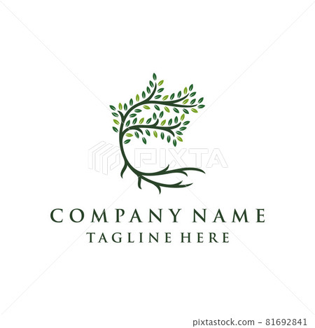 Tree and roots logo design vector isolated, abstract tree logo design Tree and roots logo design vector isolated, abstract tree logo design 81692841