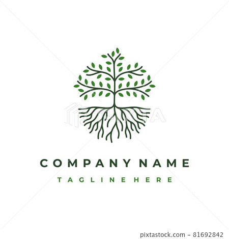 Line art tree logo design, tree and root vector. Tree of life logo design inspiration Line art tree logo design, tree and root vector. Tree of life logo design inspiration 81692842