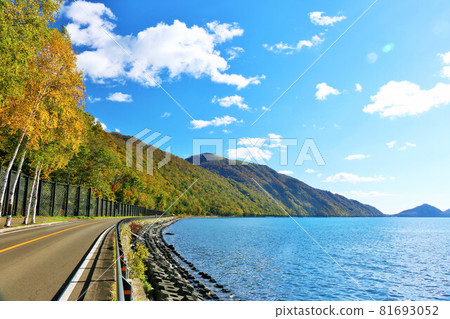 Lake Shikotsu, Hokkaido Autumn blue sky and yellow leaves Lake Shikotsu, Hokkaido Autumn blue sky and yellow leaves 81693052