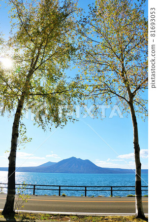 北海道支笏湖秋藍天黃葉 北海道支笏湖秋藍天黃葉 81693053