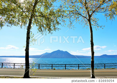 北海道支笏湖秋藍天黃葉 北海道支笏湖秋藍天黃葉 81693054