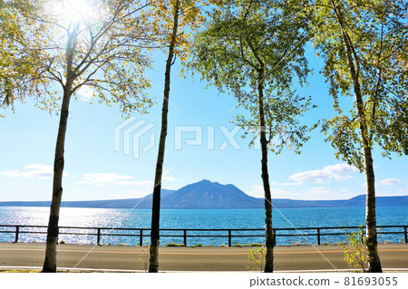 北海道支笏湖秋藍天黃葉 北海道支笏湖秋藍天黃葉 81693055