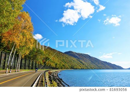 北海道支笏湖秋藍天黃葉 北海道支笏湖秋藍天黃葉 81693056