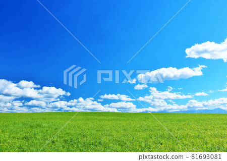 北海道藍天和美瑛的風景 81693081