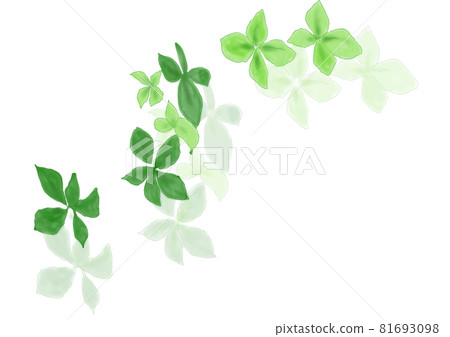 綠色四葉草 81693098