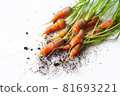carrots with soil and green leaves on white 81693221