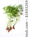 carrots with soil and green leaves on white 81693269