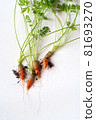 carrots with soil and green leaves on white 81693270