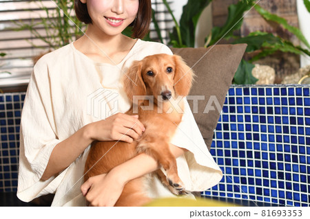 一個在室內喜歡寵物小狗（臘腸）的年輕女人 81693353