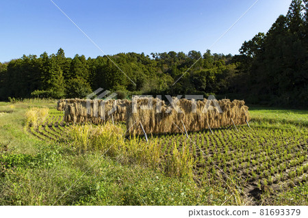 雨晴朗的太陽 81693379