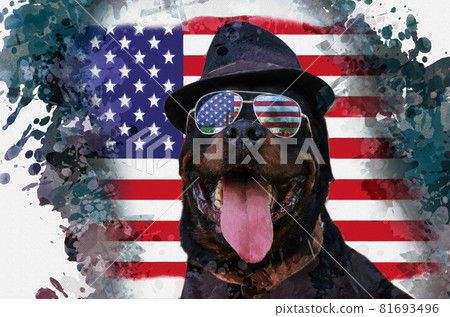A large black dog wearing sunglasses and a slapper sits in front of an American flag. Portrait of a stylish Rottweiler with his tongue out. Digital watercolor painting. A large black dog wearing sunglasses and a slapper sits in front of an American flag. Portrait of a stylish Rottweiler with his tongue out. Digital watercolor painting. 81693496