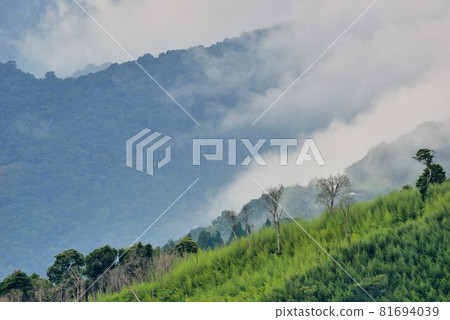 山上風景-新竹尖石宇老,台灣 山上風景-新竹尖石宇老,台灣 81694039