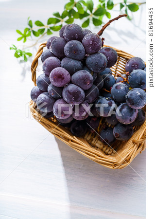 Grape (Kyoho from Yamanashi Prefecture) 81694435