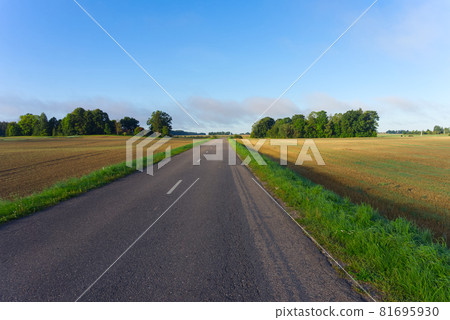 Low angle view of the empty rural asphalt road Low angle view of the empty rural asphalt road 81695930