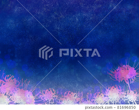 Night sky and cluster amaryllis 81696850