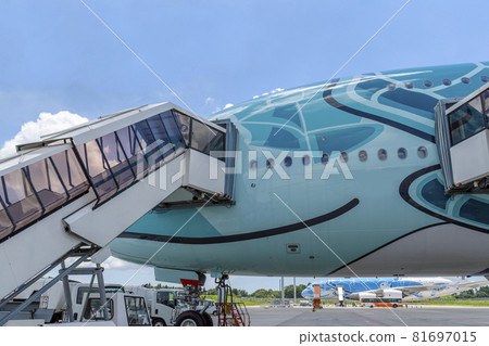 Narita Airport A380 Flying Honu Narita Airport A380 Flying Honu 81697015