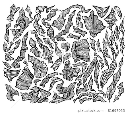 Leaves line art, abstract flourish leaf pattern Leaves line art, abstract flourish leaf pattern 81697033