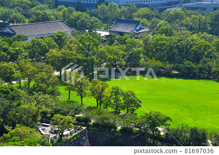 Osaka Castle Park 81697036