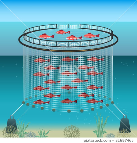 Floating farm illustration Floating farm illustration 81697463
