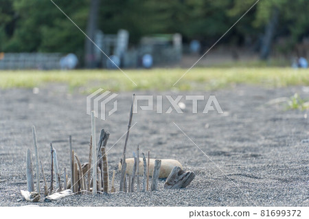 夏末的沙灘(三保海岸) 夏末的沙灘(三保海岸) 81699372