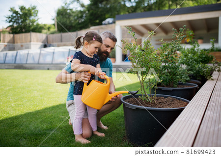 Father and small daughter outdoors in tha backyard, watering plants. Father and small daughter outdoors in tha backyard, watering plants. 81699423