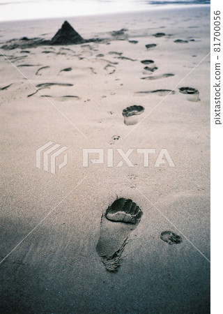 Traces remaining on the sandy beach of Isehama Traces remaining on the sandy beach of Isehama 81700056