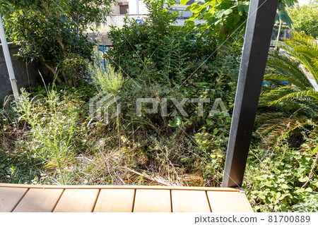 A view of the garden of an unmaintained all-you-can-eat house full of weeds from the terrace 81700889