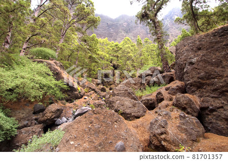 Barranco de Las Piedras Redondas, Caldera de Taburiente National Park, Canary Islands, Spain Barranco de Las Piedras Redondas, Caldera de Taburiente National Park, Canary Islands, Spain 81701357