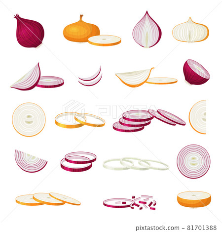 Sliced fresh onion. Purple natural food healthy cutting products vitamin recent vector illustrations set 81701388