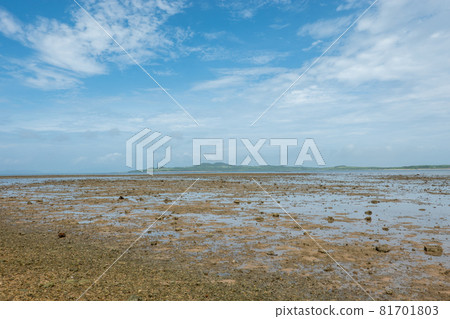 Nature of Iriomote Island: Forests, Seas and Rivers 81701803