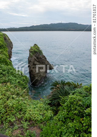 Nature of Iriomote Island: Forests, Seas and Rivers Nature of Iriomote Island: Forests, Seas and Rivers 81701817