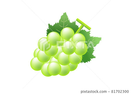 Illustration of Muscat Illustration of Muscat 81702300